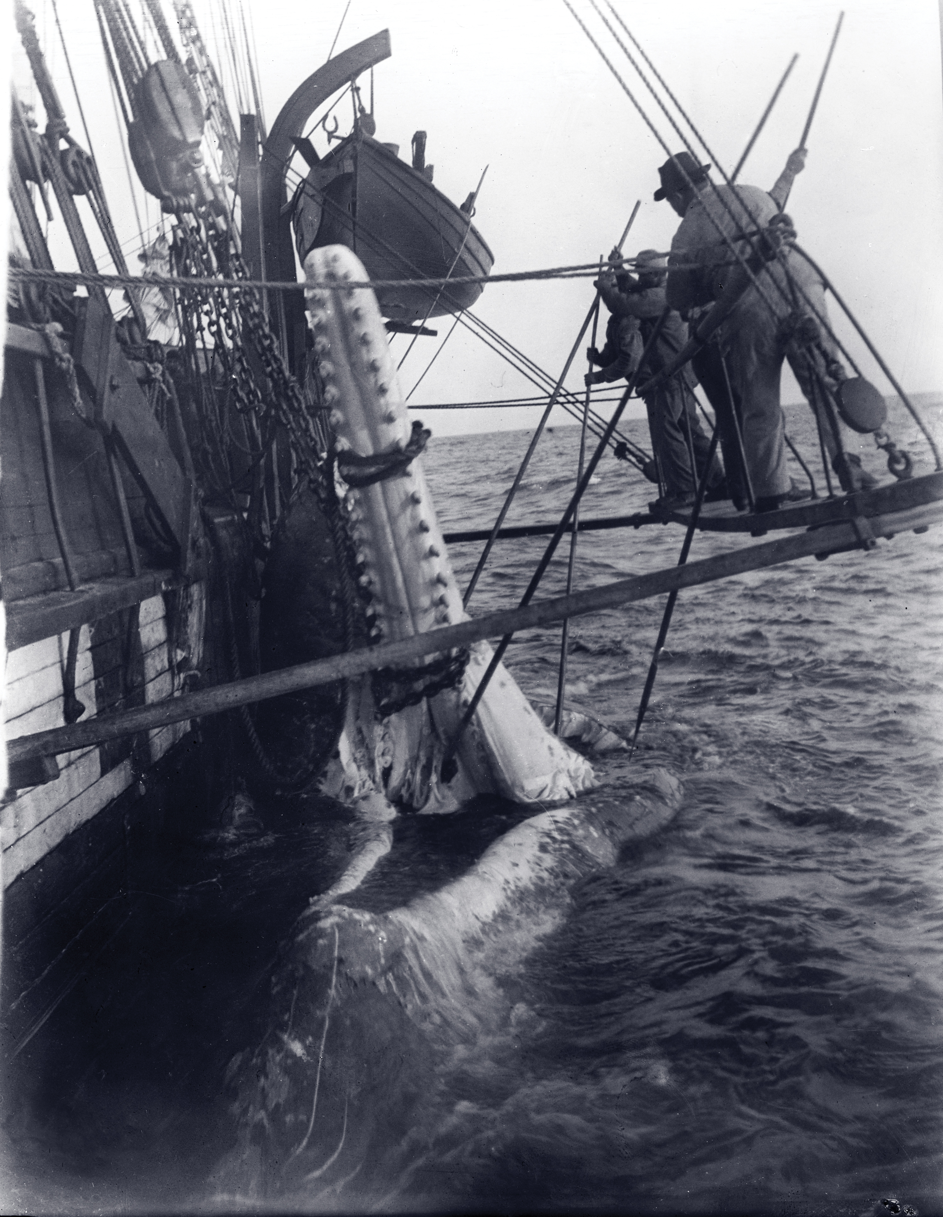 19th century whaling harpoon
