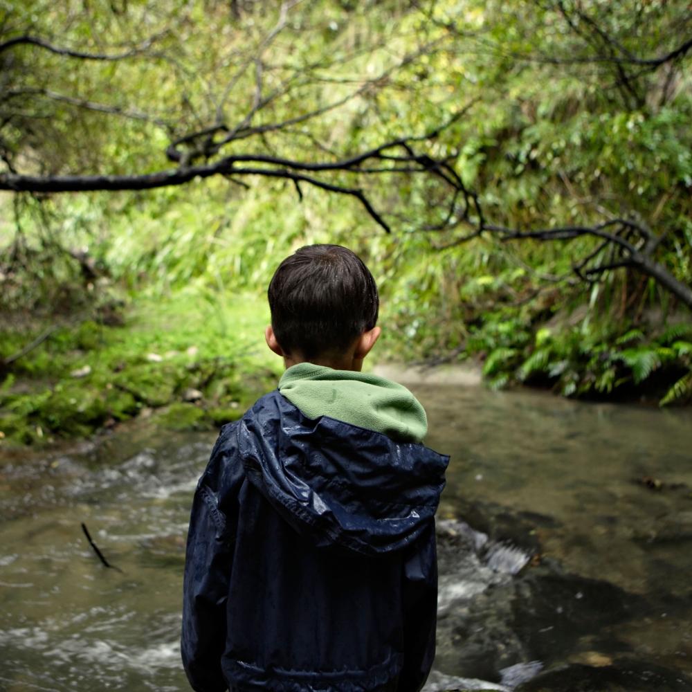 Young boy looks at river