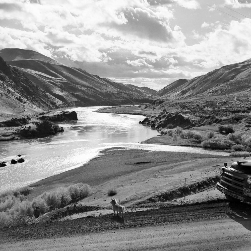 Black-and-white photo of dog overlooking the confluence of the Snake and Powder rivers.