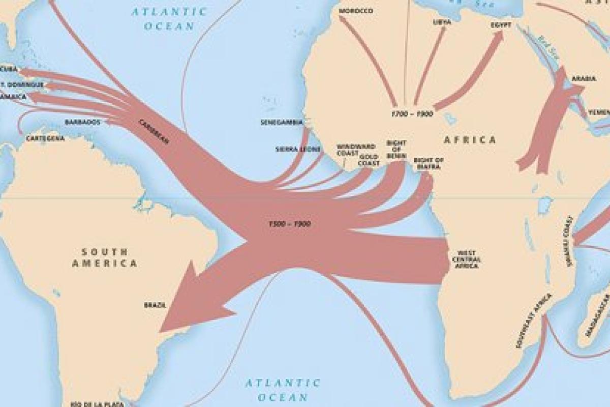 Voyages: The Transatlantic Slave Trade Database  National Endowment 