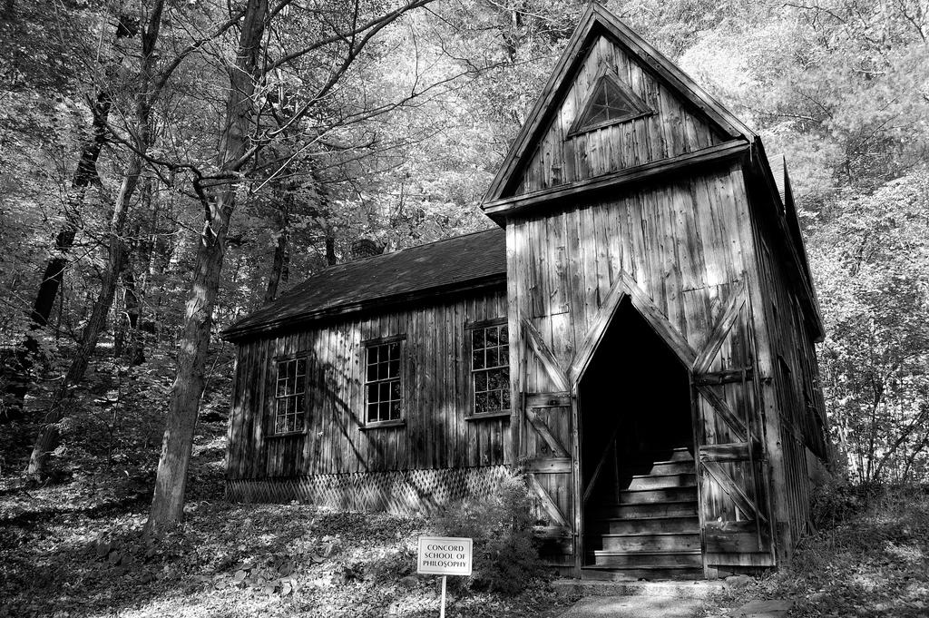 Wooden building with a triangular room and triangular doorway, surrounded by small trees and a yard