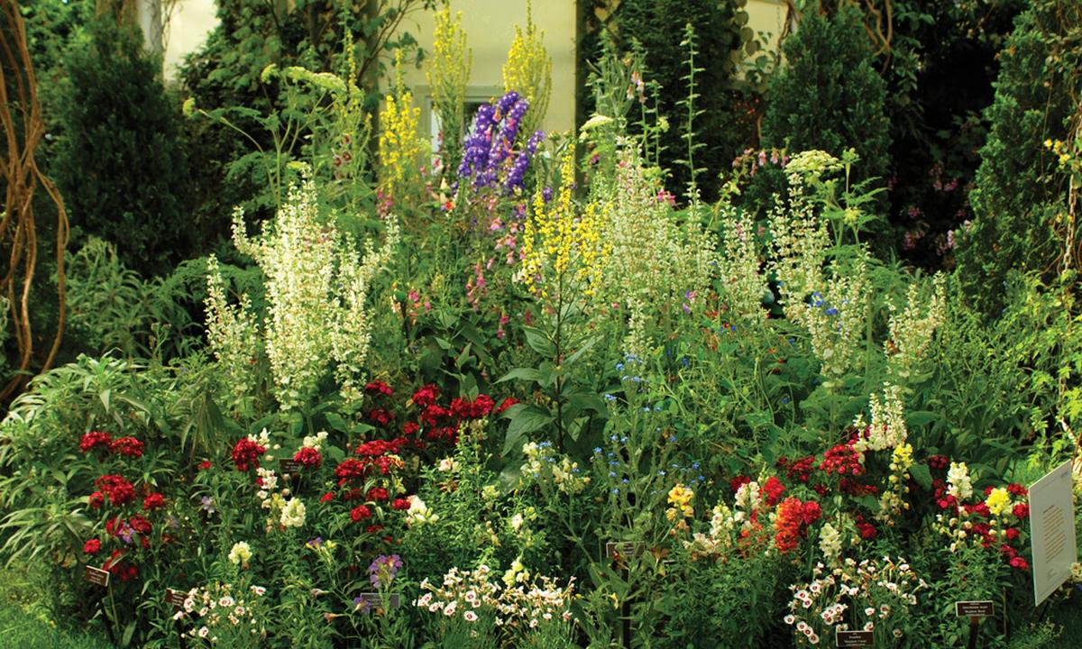 photograph of various flowers