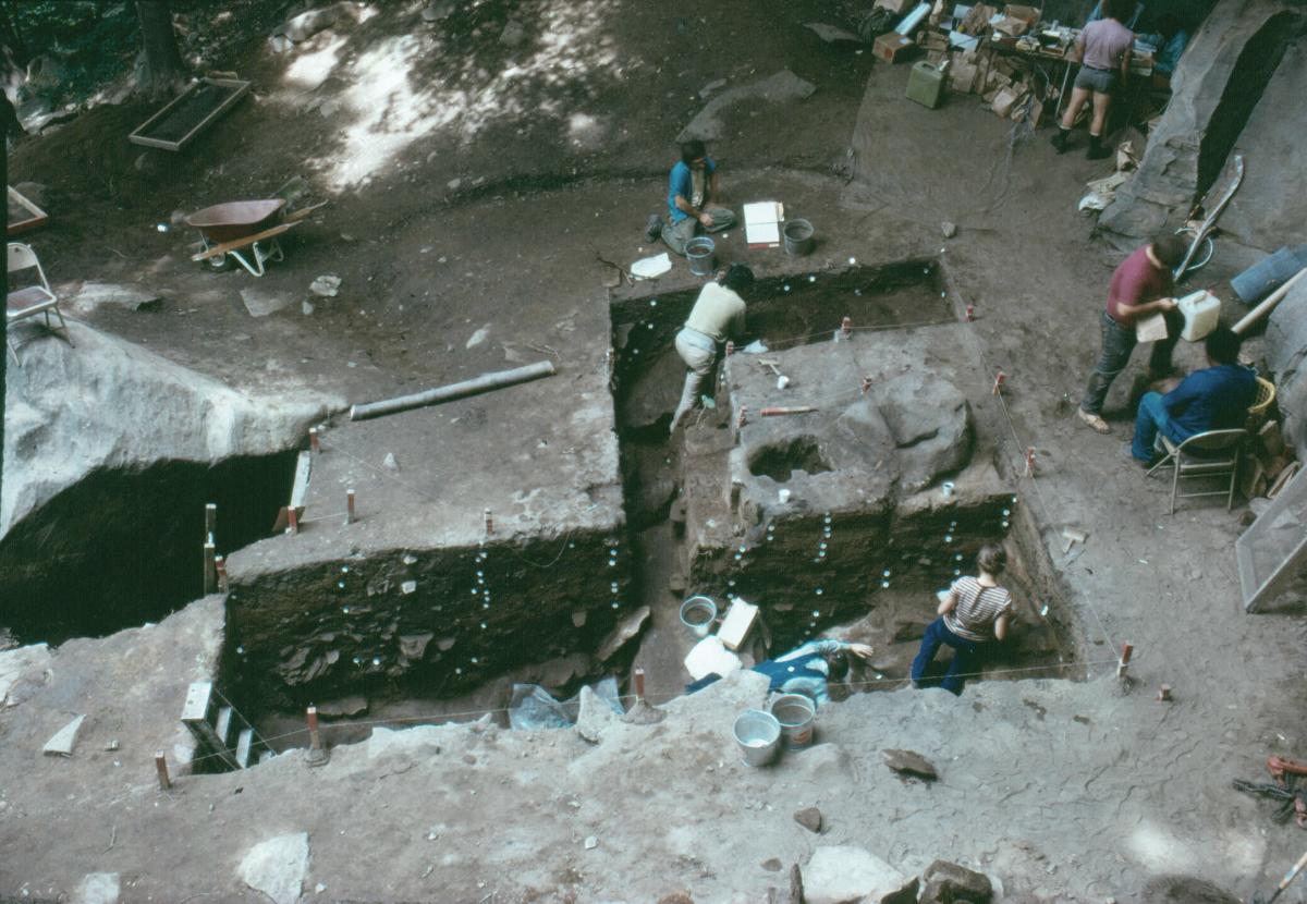 Several students dig in a relatively untouched site