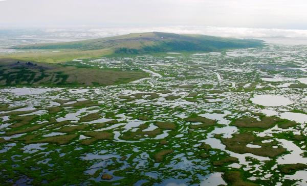 View of the Yukon-Kuskokwim Delta