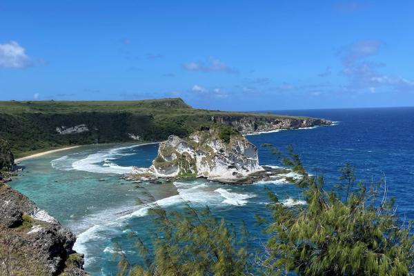 Pacific Islands Cultural Initiative