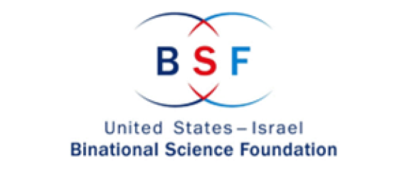 BSF logo