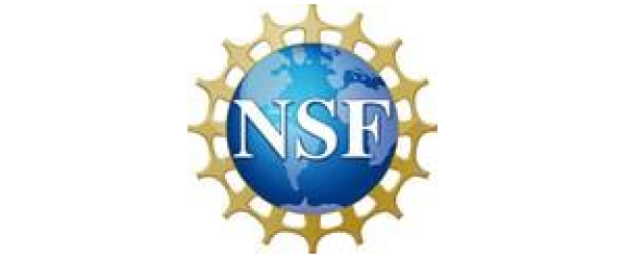 NSF logo