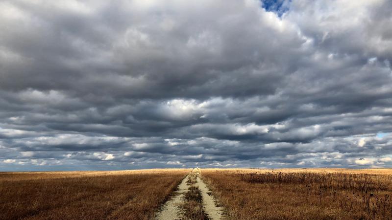 Kansas field